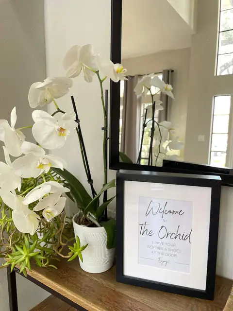 Welcome to The Orchid!
